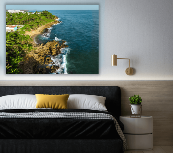 Mameyal Bay, Dorado mounted on wall.